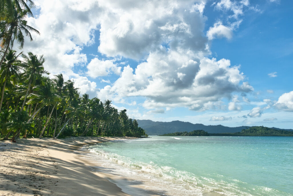 The coastline of Coconut Beach lined with coconut trees in Port Barton, Palawan Philippines.