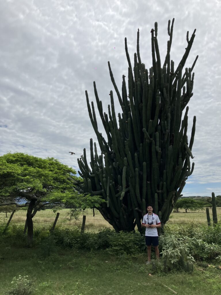 Me, standing in front of an enormous cactus in Tatacoa Desert