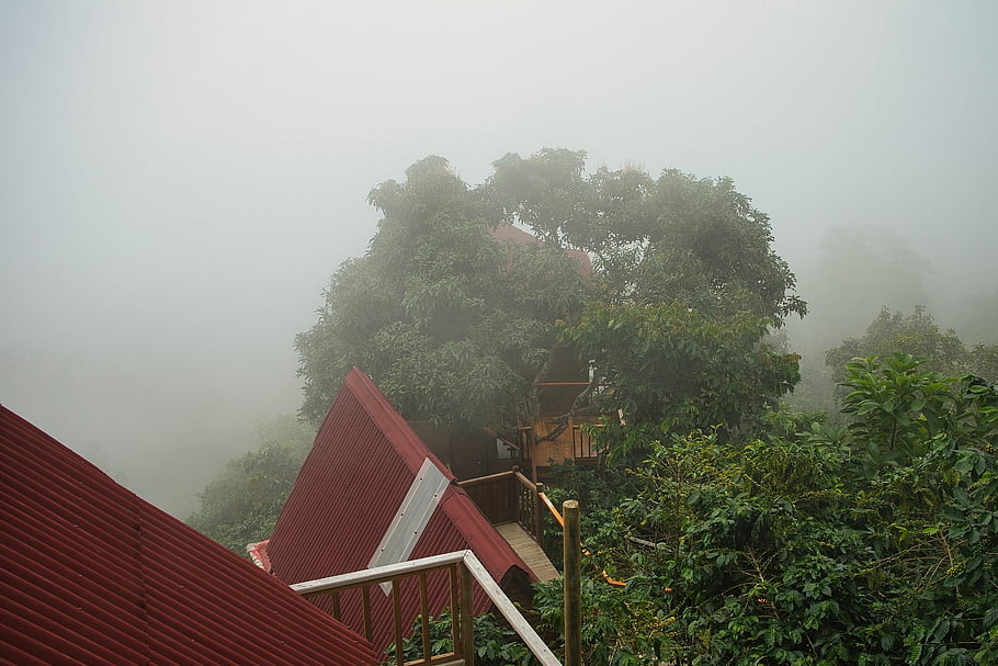 Fog-covered mountains and lush landscape in Minca, Colombia