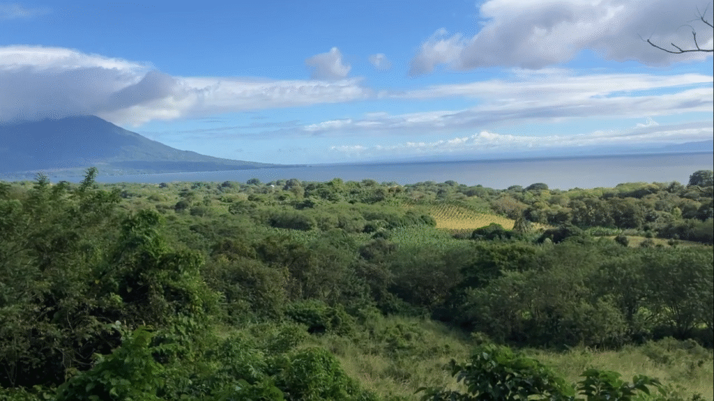 A green forest landscape next to the sea on Ometepe Island in Nicaragua
