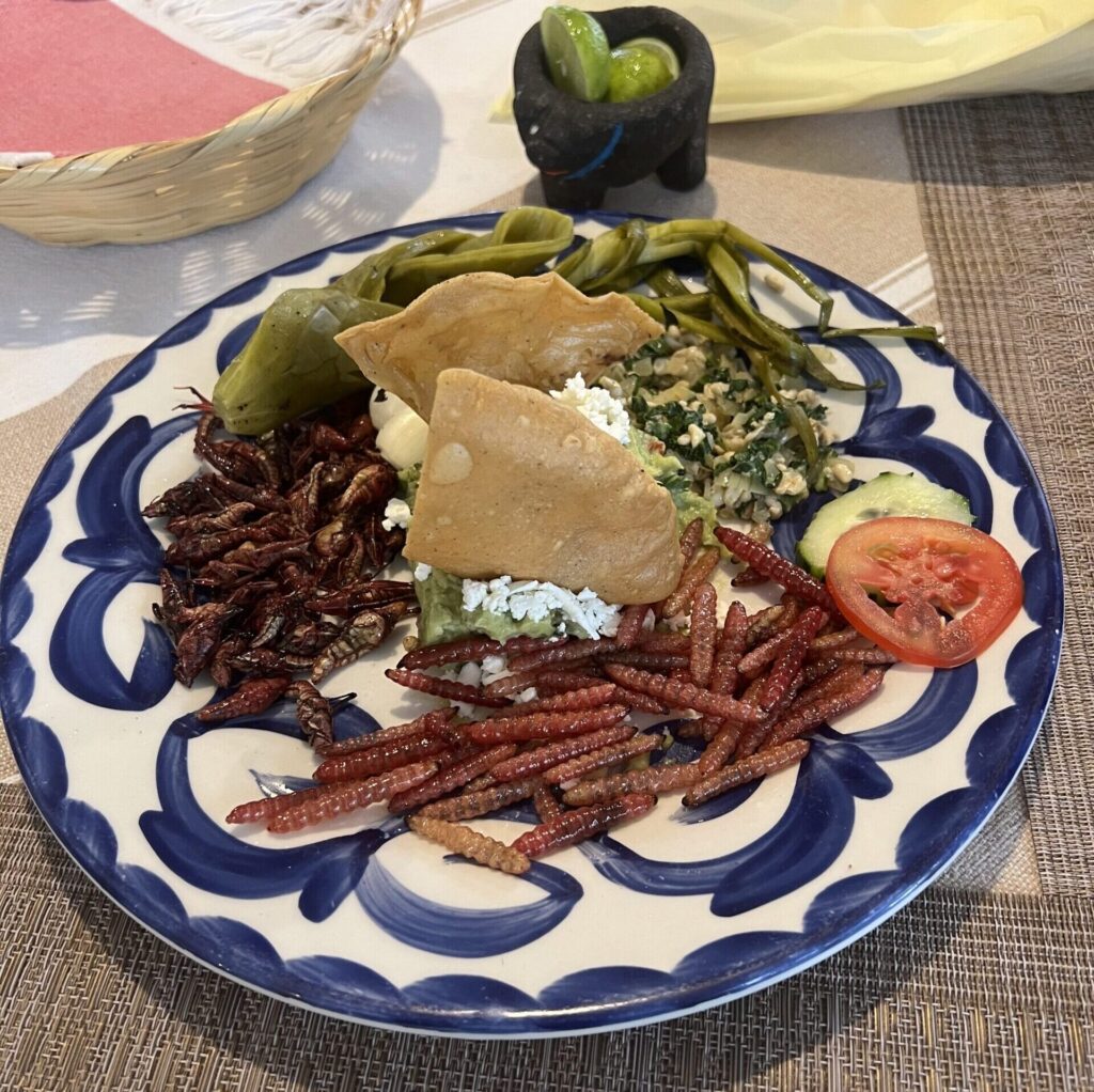 A traditional Teotihuacán dish with roasted crickets and worms.