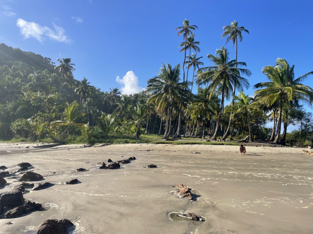 Prainha beach in Serra Grande, Bahia Brazil