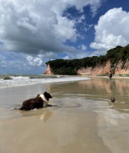 A beautiful beach in Pipa, Rio Grande do norte