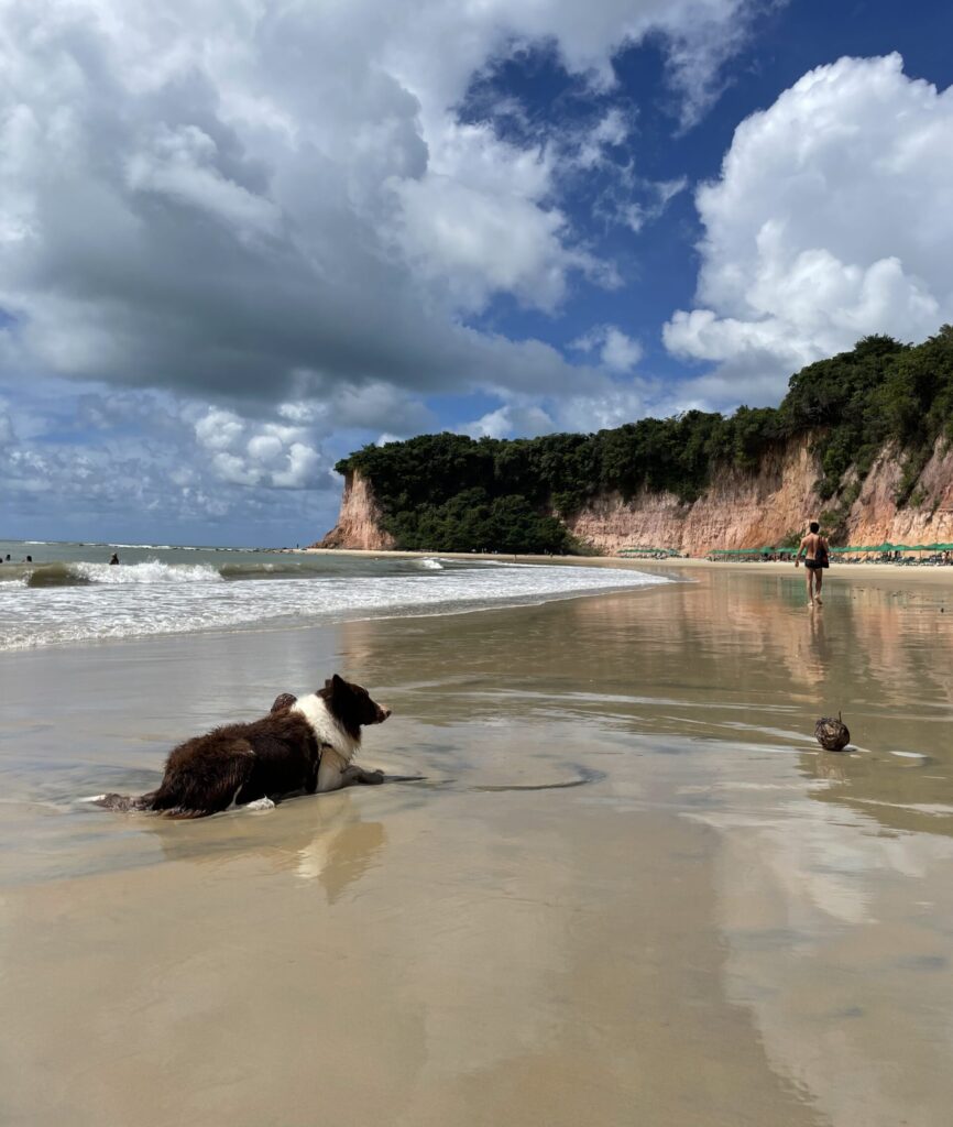 A beautiful beach in Pipa, Rio Grande do norte