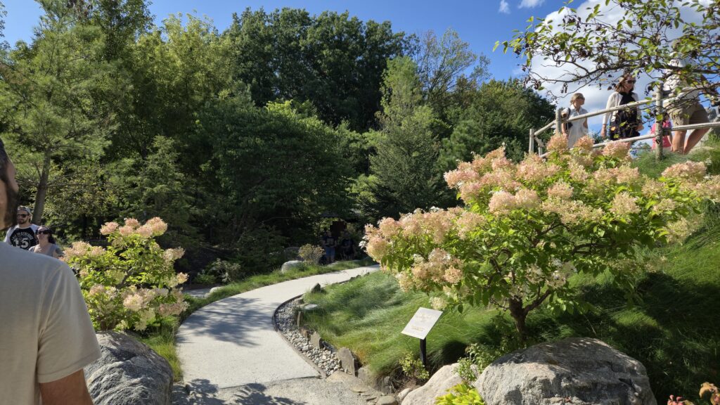 A walkway with flowering bushes at Meijer Gardens & Sculpture Park