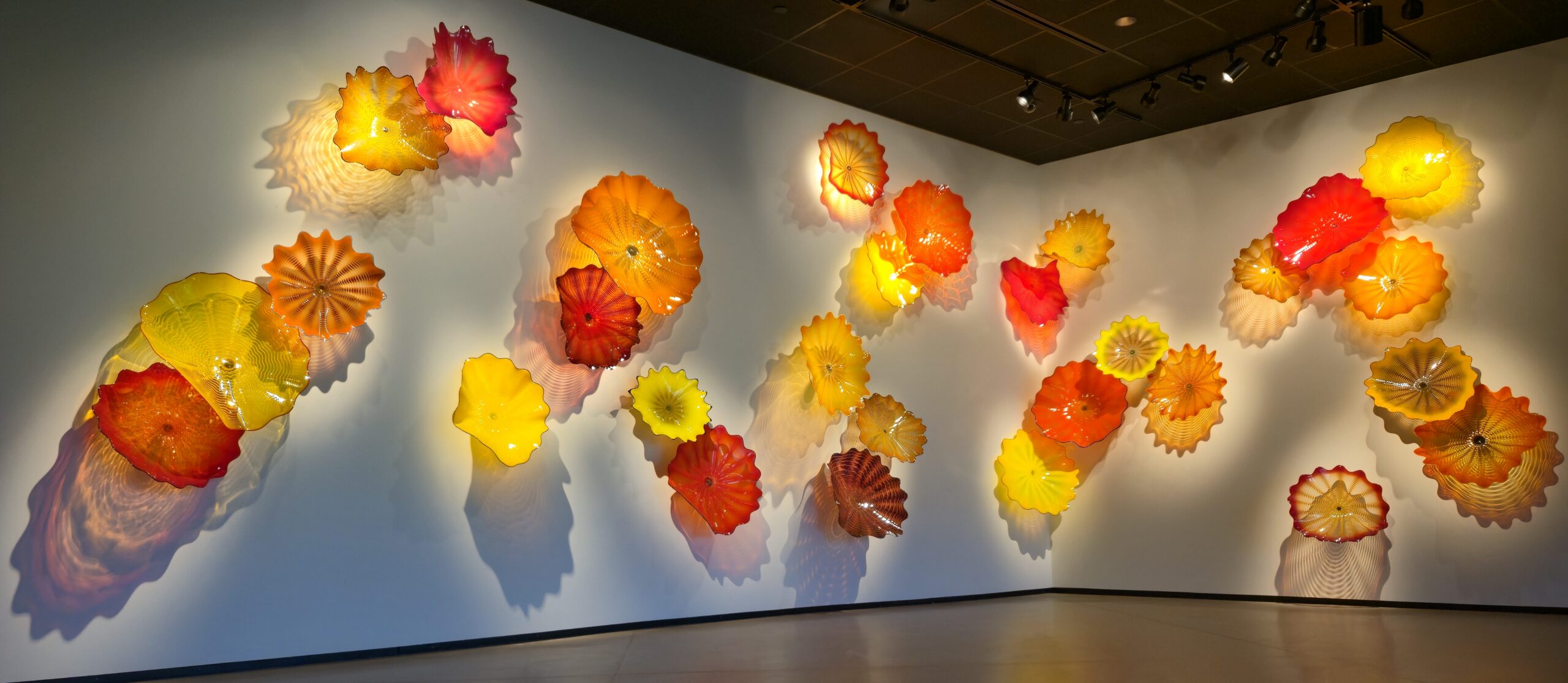 A glass art instillation for CHIHULY at Meijer Gardens at Meijer Gardens & Sculpture Park