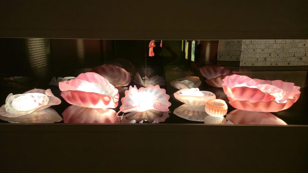 Beautiful glass art sea shells at CHIHULY at Meijer Gardens in Grand Rapids Michigan