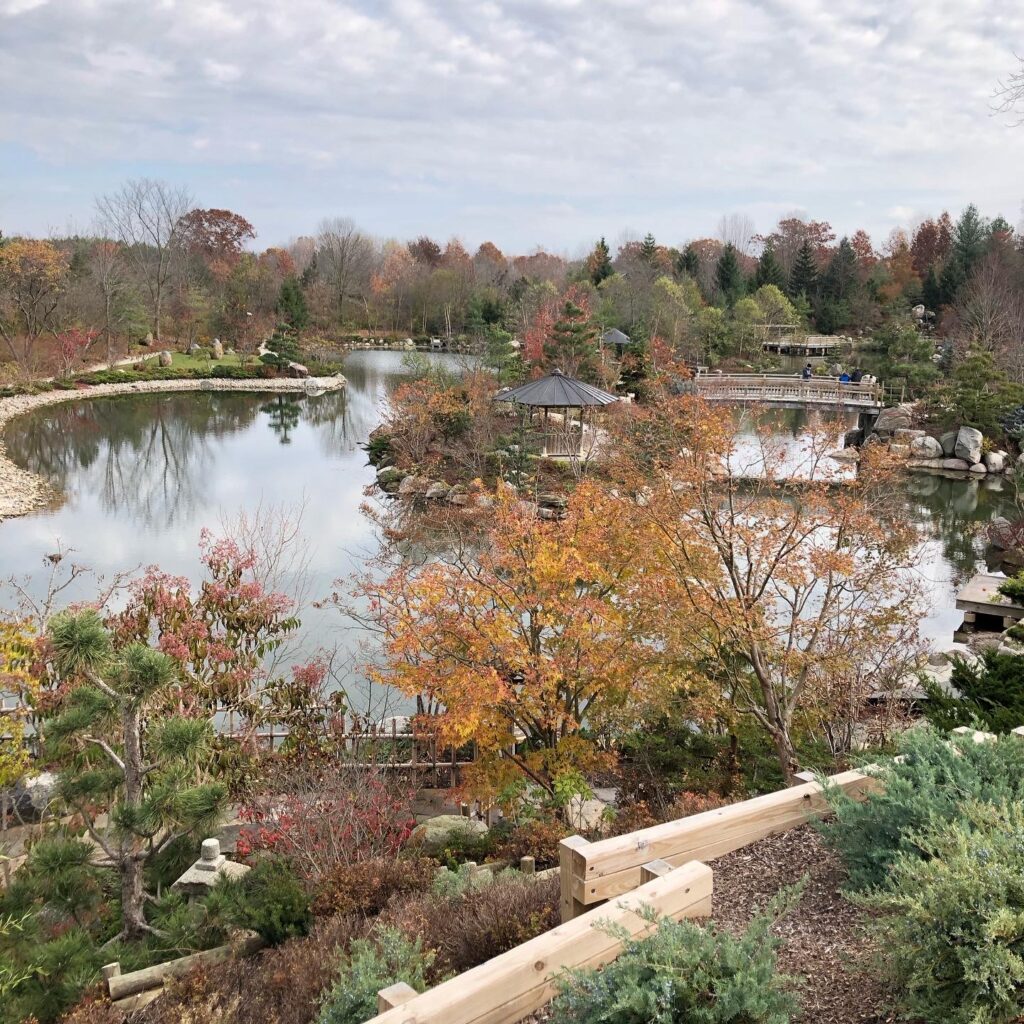 A Japanese Garden during autumn at Meijer Gardens & Sculpture Park