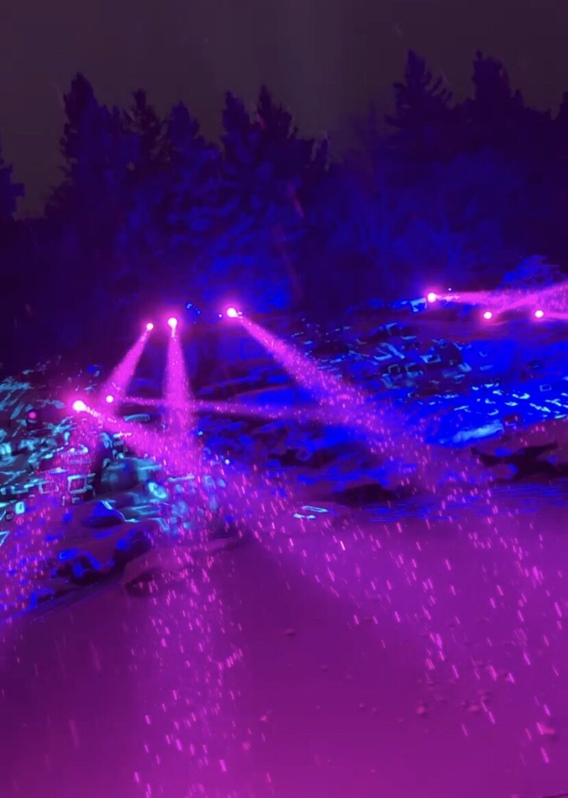 Holiday lights at Meijer Gardens & Sculpture Park in the winter