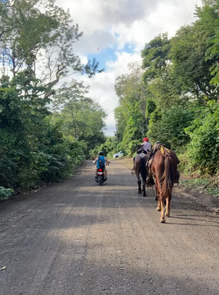 Passing my horses on my scooter on Ometepe Island in Nicaragua