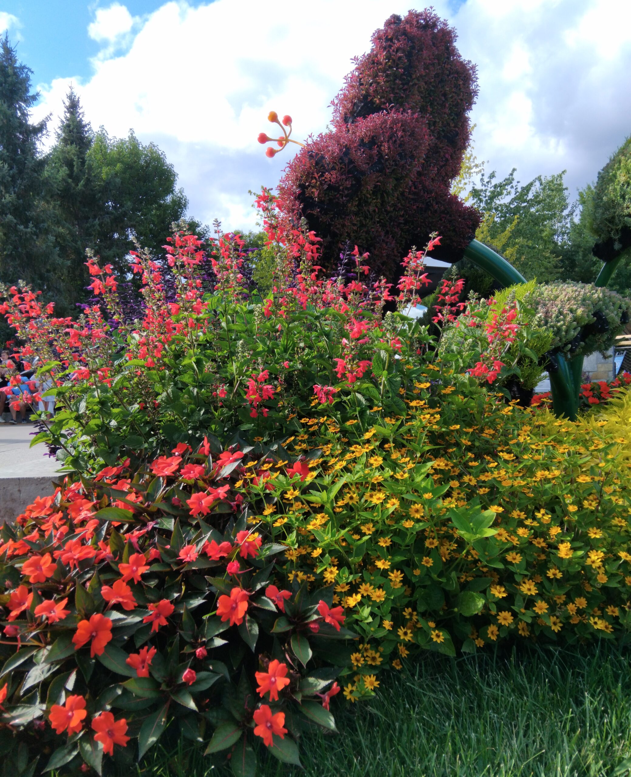 A colorful flower bush