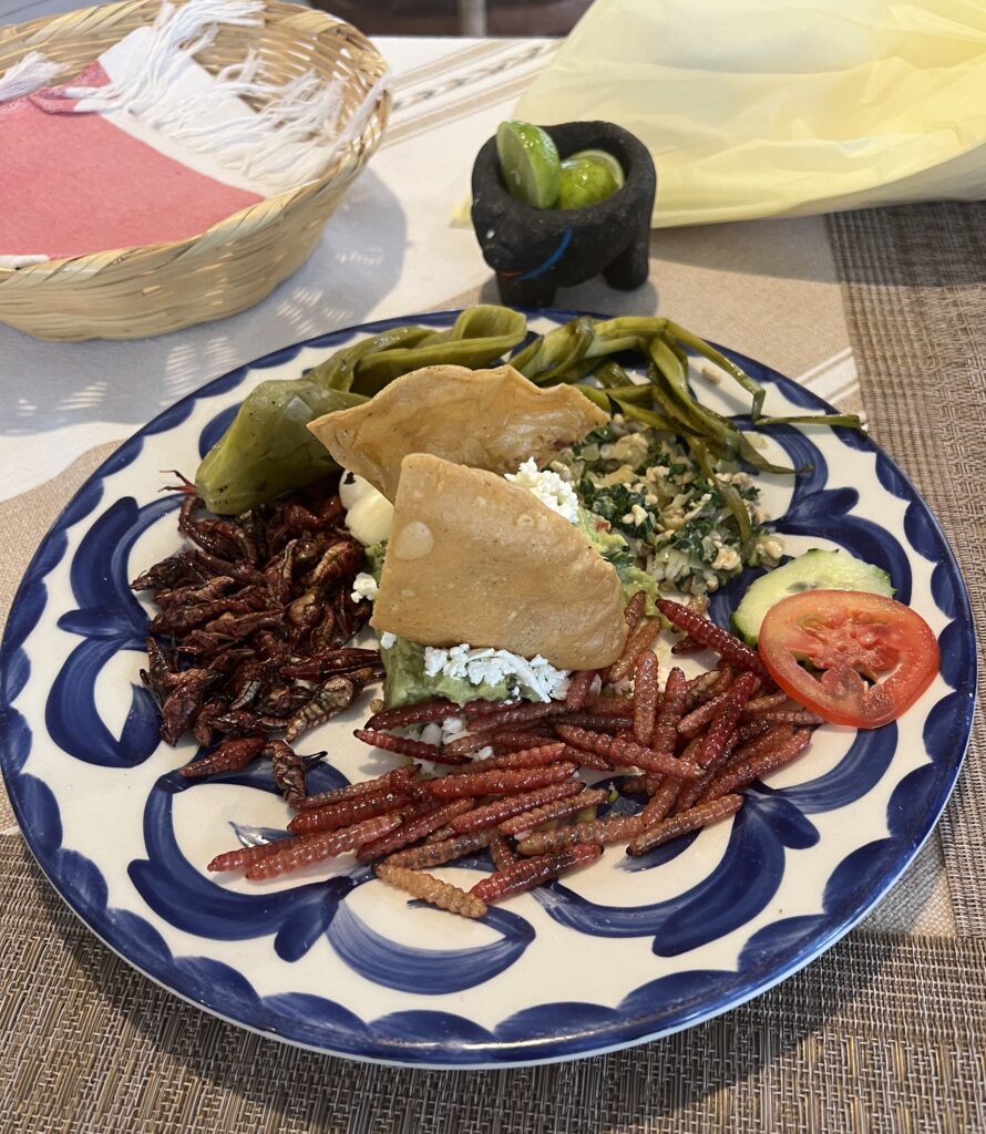 A traditional meal with roasted worms and bugs in Teotihuacán, Mexico
