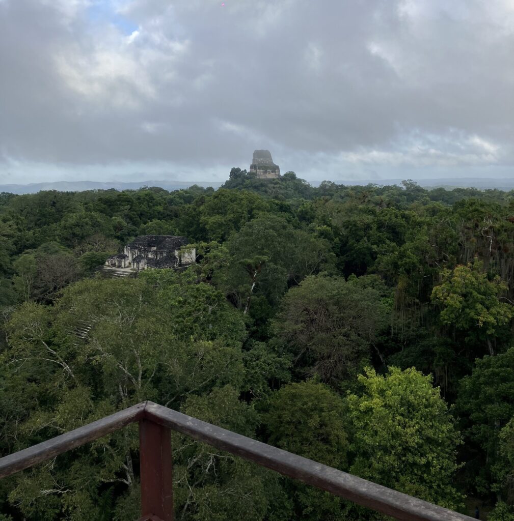A view of the jungle in Tikal National Park from one of the pyramid temples