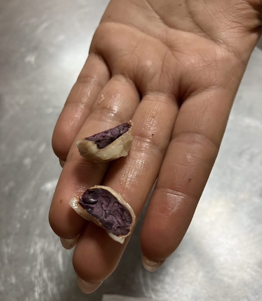 A cacao bean split in half, revealing it's dark insides and white skin